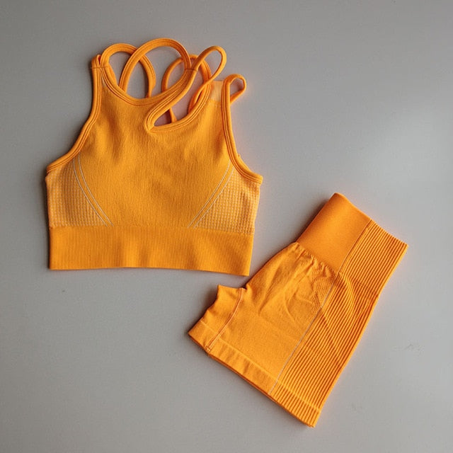 2pcs Seamless Yoga Sets Women Sport Wear